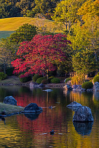 "Scenery_of_Shinji_pond_at_Expo’70_Commemorative_Park_in_Osaka.jpg" by User:Laitche