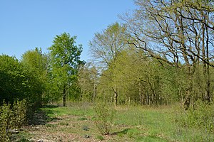 Schleswig-Holstein, Reher, Kratt NIK 0292.JPG