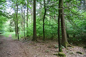 Schleswig-Holstein, Sarlhusen, Landschaftsschutzgebiet Glasberg NIK 7079.JPG