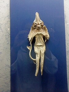 Sea devil-Mashhad museum.jpg
