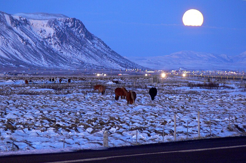 File:Selfoss im Dezember.jpg