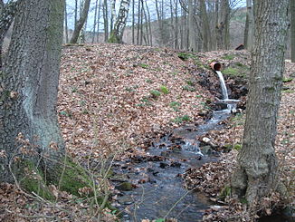 The Sellbach east of Röhrig