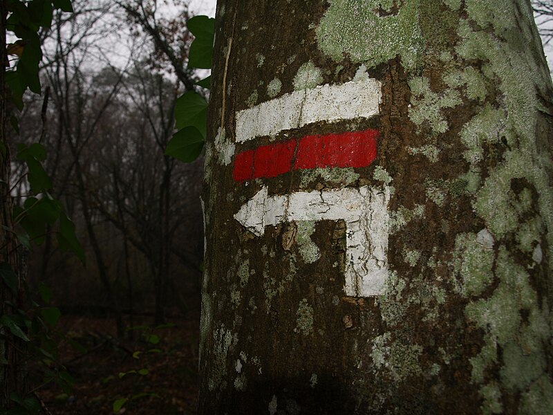 File:Signalétique GR 13 sur arbre.JPG