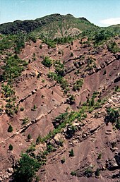 Chinas Grüne Mauer: Desertifikation in China, Ursachen der Desertifikation, Projektumfang