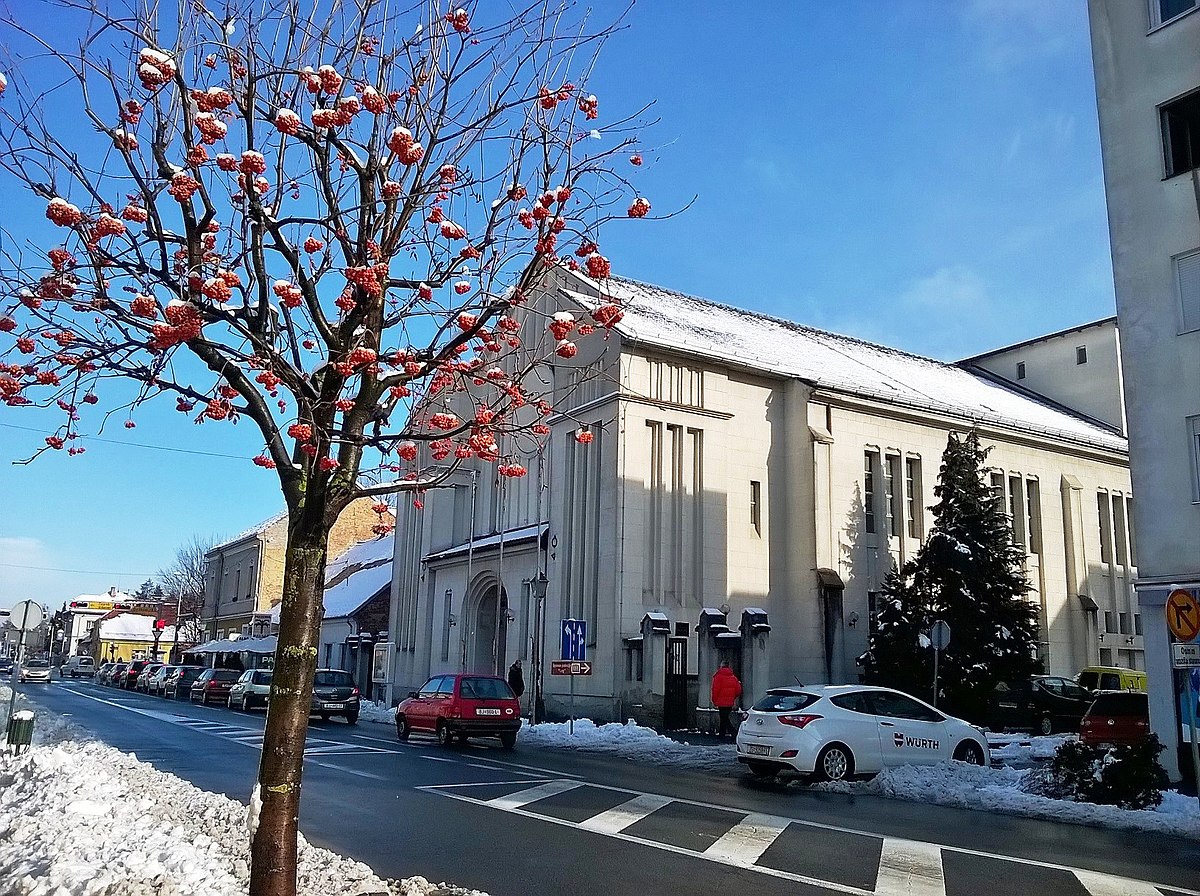 Синагога красноярск. Синагога в Сочи. Зима синагога. Бьеловар.