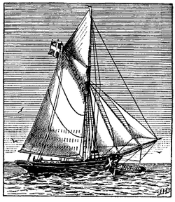 sloop