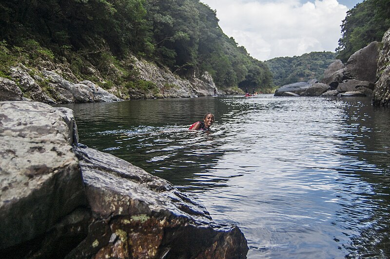 File:Smiling woman swimming in a river in Yakushima, Japan 2015 (23009047730).jpg