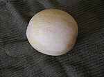 Thumbnail for Sprite melon