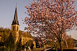 Katholische Pfarrkirche St. Gallus und St. Margaretha