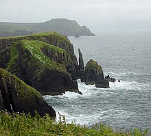 Стэки в Doonsheane Head - geograph.org.uk - 1593573.jpg