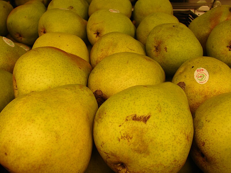 File:Starr 070730-7919 Pyrus communis.jpg