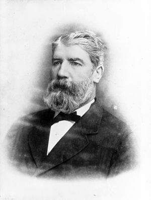 StateLibQld 2 182083 Brewer and politician Patrick Perkins, 1879.jpg