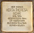 Détail: Stolperstein à Leyde pour Herta Theresa Mohr.