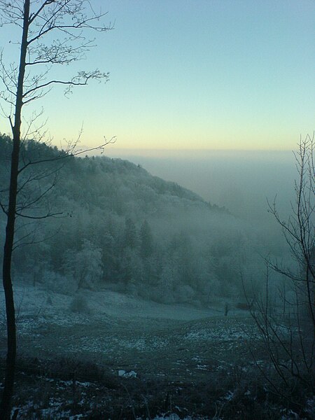 File:Stratus-Cloud-Uetliberg.jpg