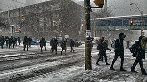 Students trudging through snow - dramatic edit (47117360951).jpg