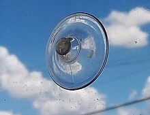 Suction cup pressed on a window Suction cup 2.jpg
