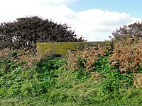 Suffolk Square style pillbox at Benacre (Geograph 2139289).jpg