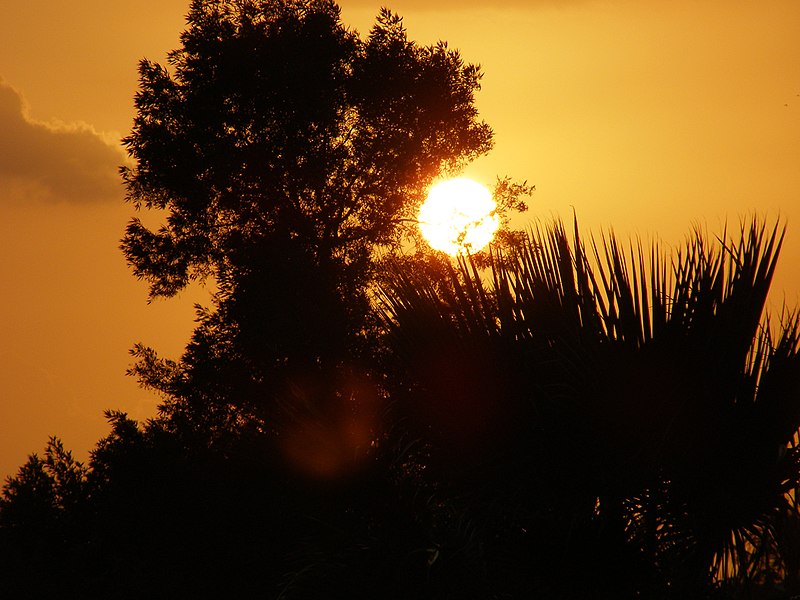 صورة:Sunset-Two.jpg