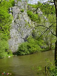 De rotsen aan de Ourthe bij Sy