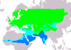 Aire de répartition de la Fauvette babillarde