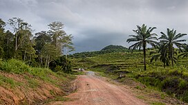 Tabin Wildlife Reserve (14839986368).jpg