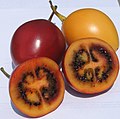 Tomate de árbol o tamarillo (Solanum betaceum)