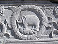 Tempio malatestiano, esterno, zoccolo, elefante malatesta 02.JPG