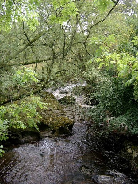 File:The Calair Burn - geograph.org.uk - 245976.jpg