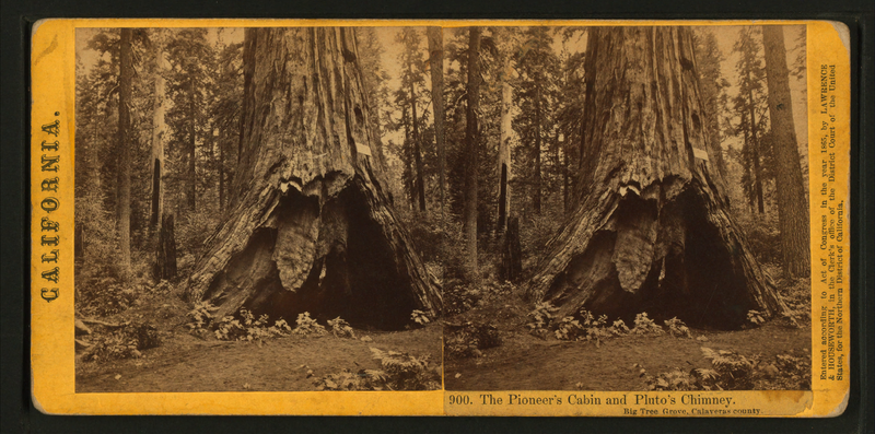 File:The Pioneer's Cabin and Pluto's Chimney, Big Tree Grove, Calaveras County, by Lawrence & Houseworth.png