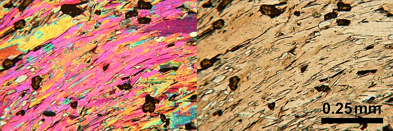 File:Thin section microscopy Siilinjärvi H2 mica-rutile.jpg