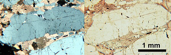 Fluorapatite grains in carbonate groundmass. Photomicrographs of thin section from Siilinjärvi apatite ore.