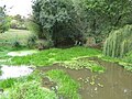 La rivière sous le pont à l'entrée de Thiré (?)