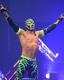 <span class="mw-page-title-main">Titán (wrestler)</span> Mexican professional wrestler (born 1990)