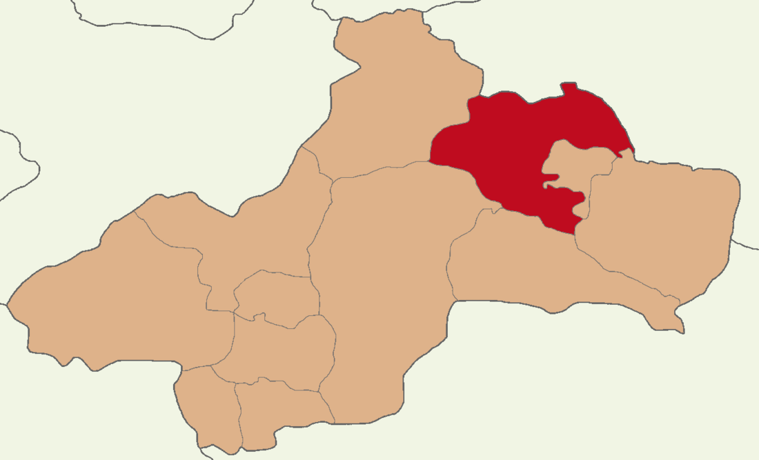 Niksar District