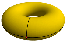 The simplest tiling of a flat torus is {4,4}1,0, constructed on the surface of a duocylinder with 1 vertex, 2 orthogonal edges, and one square face. It is seen here stereographically projected into 3-space as a torus. Toroidal monohedron.png