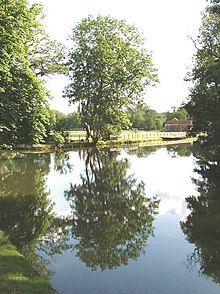 View across the River Cherwell towards Magdalen College School's playing field Tree reflected in the Cherwell, Oxford - geograph.org.uk - 192081.jpg