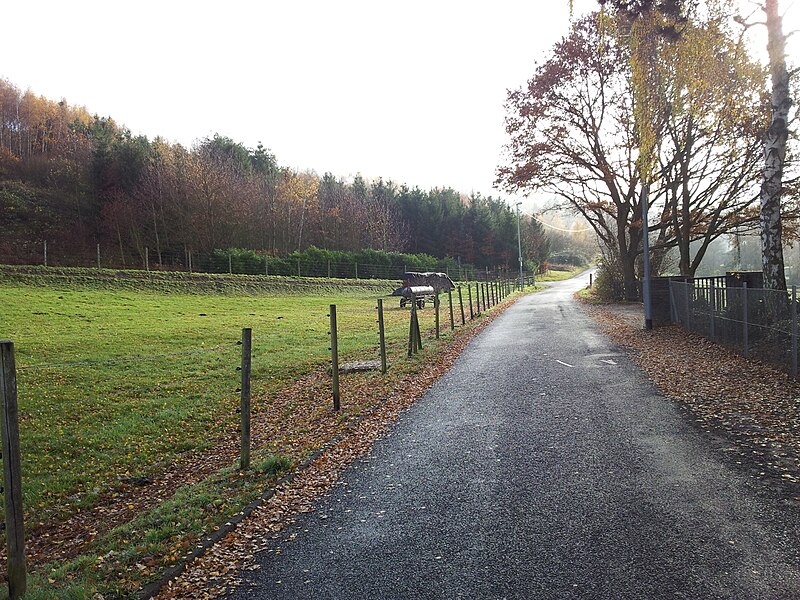 File:Trier, Weg zwischen Tarforst und Filsch Höhe Friedhof Filsch 20121122.jpg