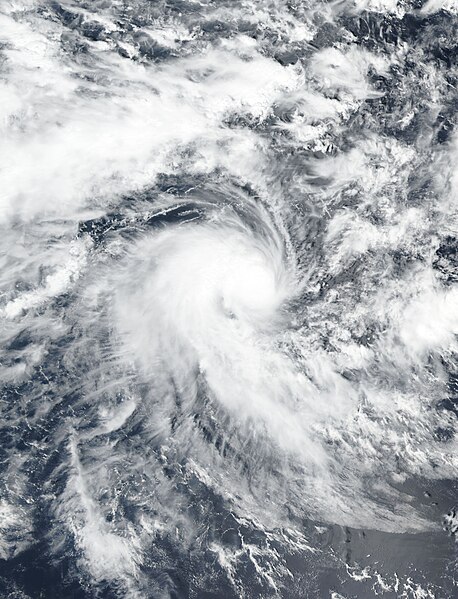 2018–19 Australian region cyclone season