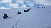 Thumbnail for File:Turkish soldiers during operation against PKK.jpg