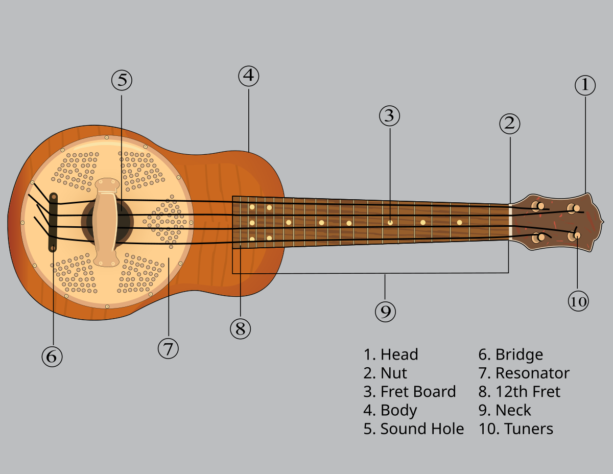 Звери укулеле. Строение укулеле сопрано. Укулеле сопраниссимо размер. Структура укулеле. Конструкция укулеле.