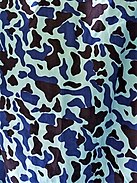 Vietnam People's Navy - Duck Hunter camouflage - Naval Special Forces and Submarine Crews.jpg