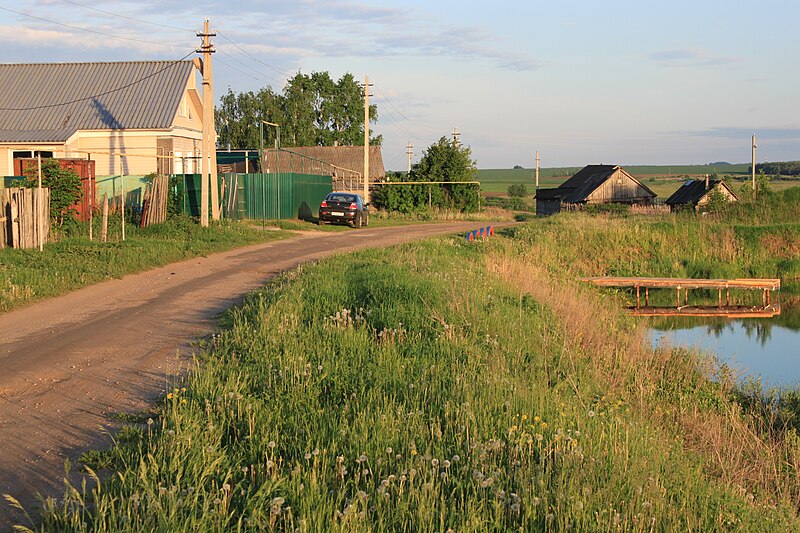 File:Village Noviy Usad - panoramio.jpg