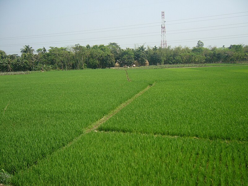 File:Village with Modern Technology Bangladesh.JPG