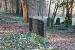 Jüdischer Friedhof (Waldbreitbach)