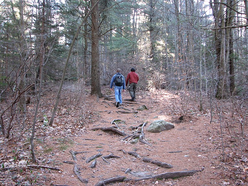 File:Wapack Trail 2 (7638331362).jpg