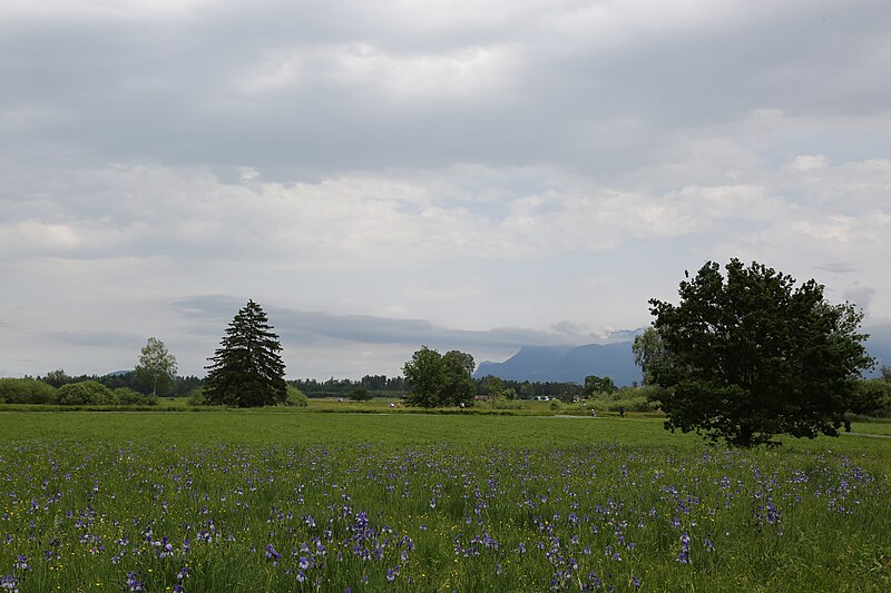 File:Wikiolo in Liechtenstein (789).jpg