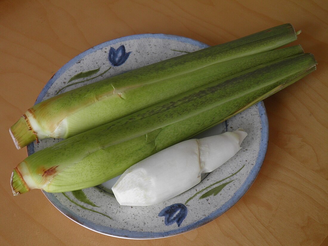 菰黑粉菌