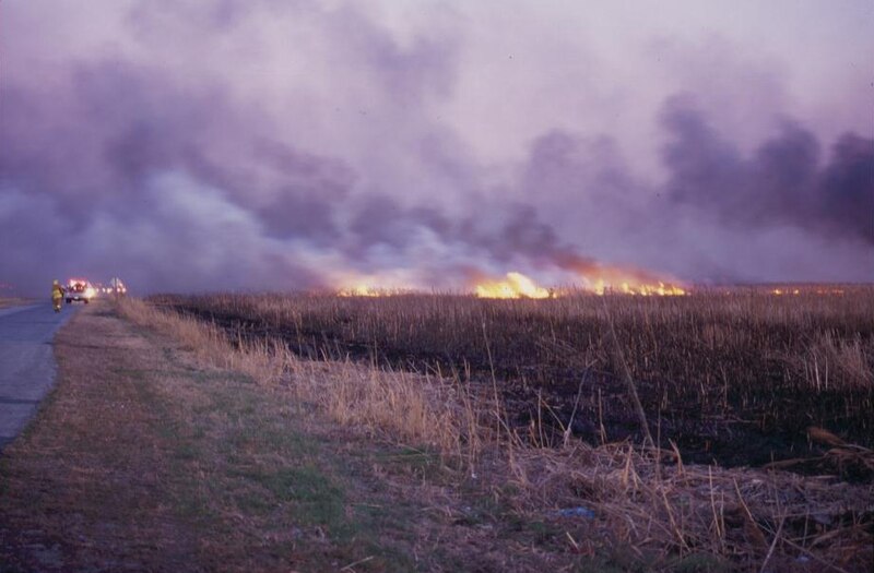 File:Wildfire at Prime Hook National Wildlife Refuge - DPLA - 6263b81acc27d523d78c579e4e362ff5.jpg