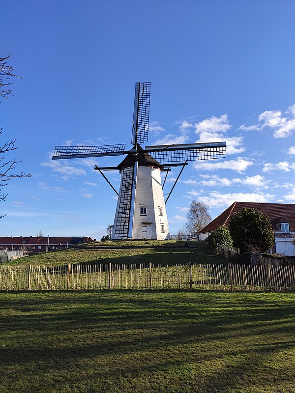 Witte Molen (Sint-Niklaas)