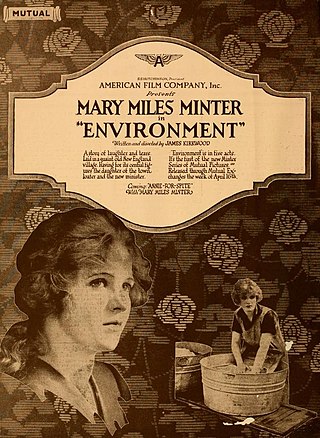 <i>Environment</i> (1917 film) 1917 American film